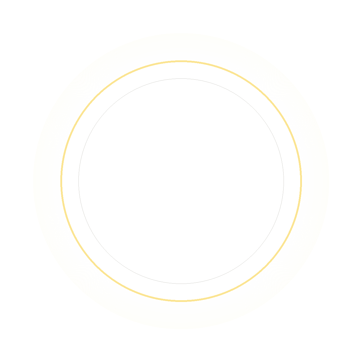 TheVoid
